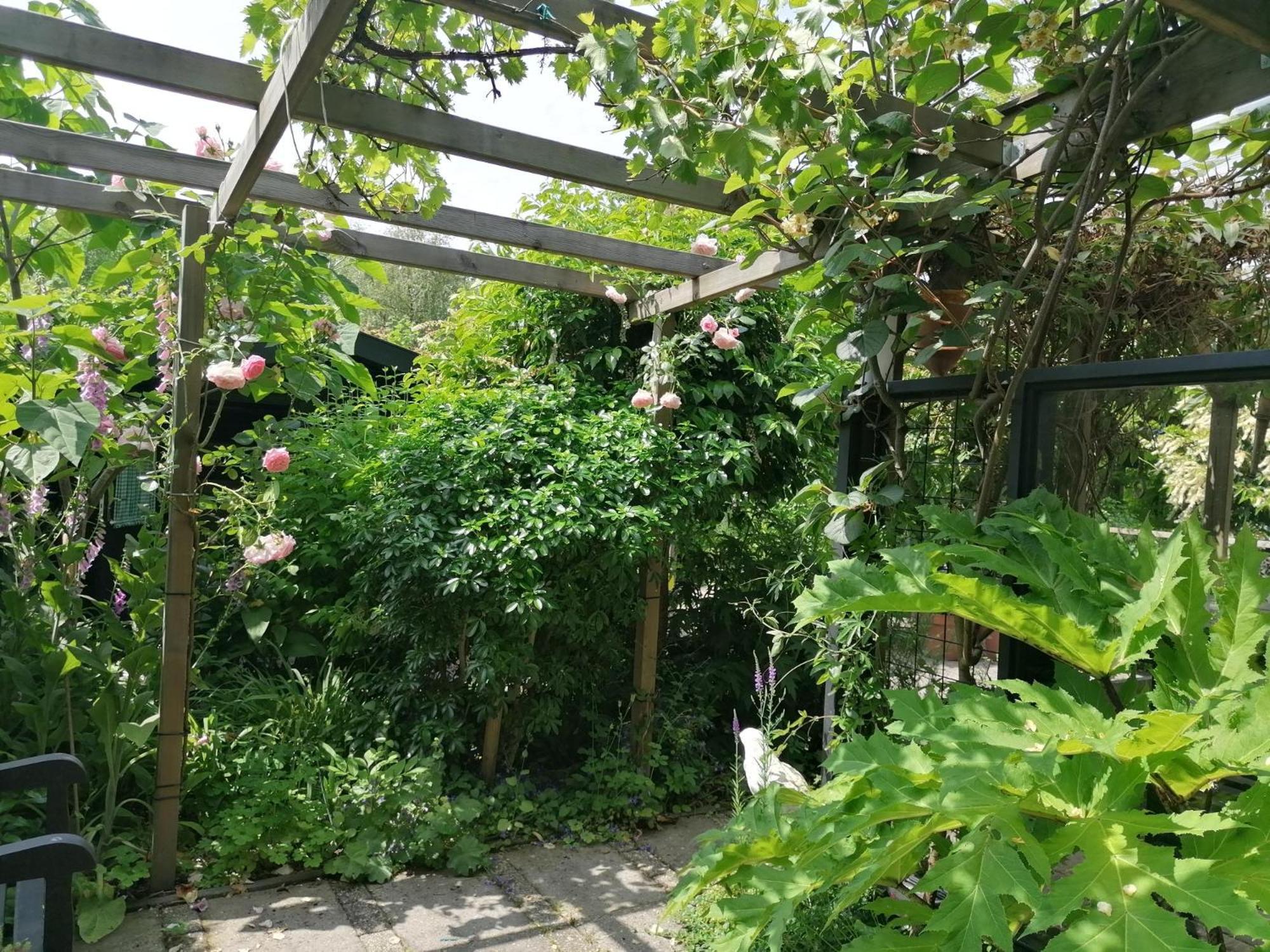 De Groene Specht Heinkenszand Exterior foto